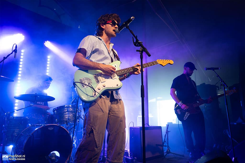 Dutch Criminal Record