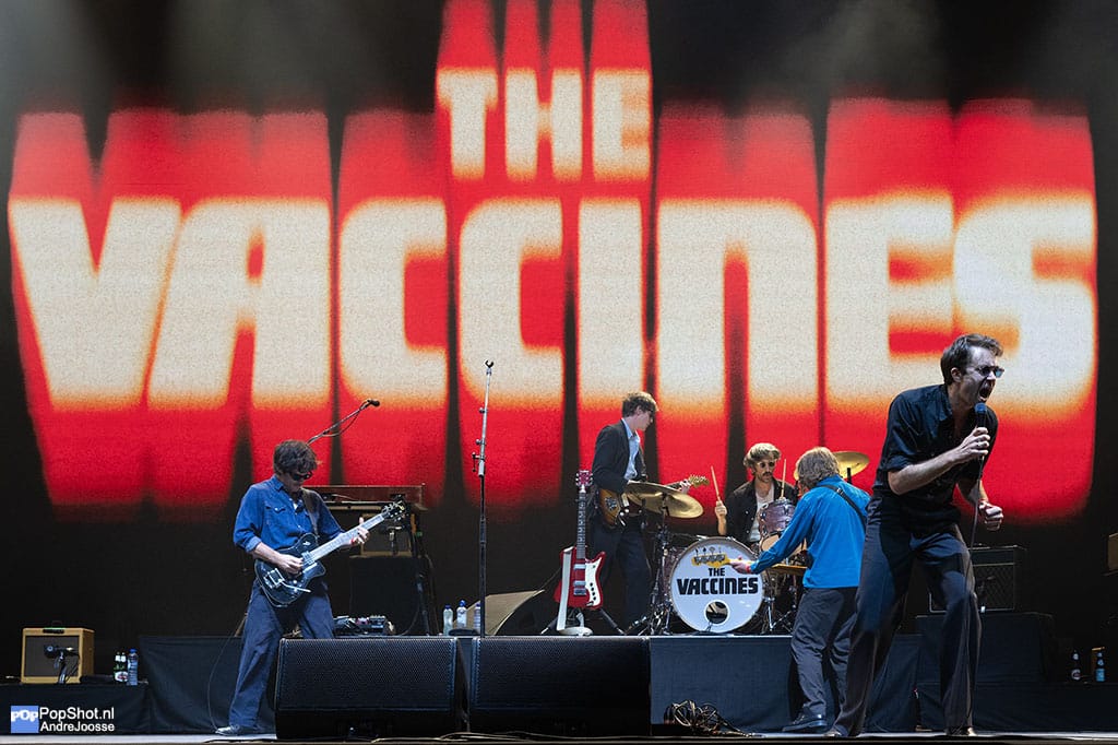 The Vaccines