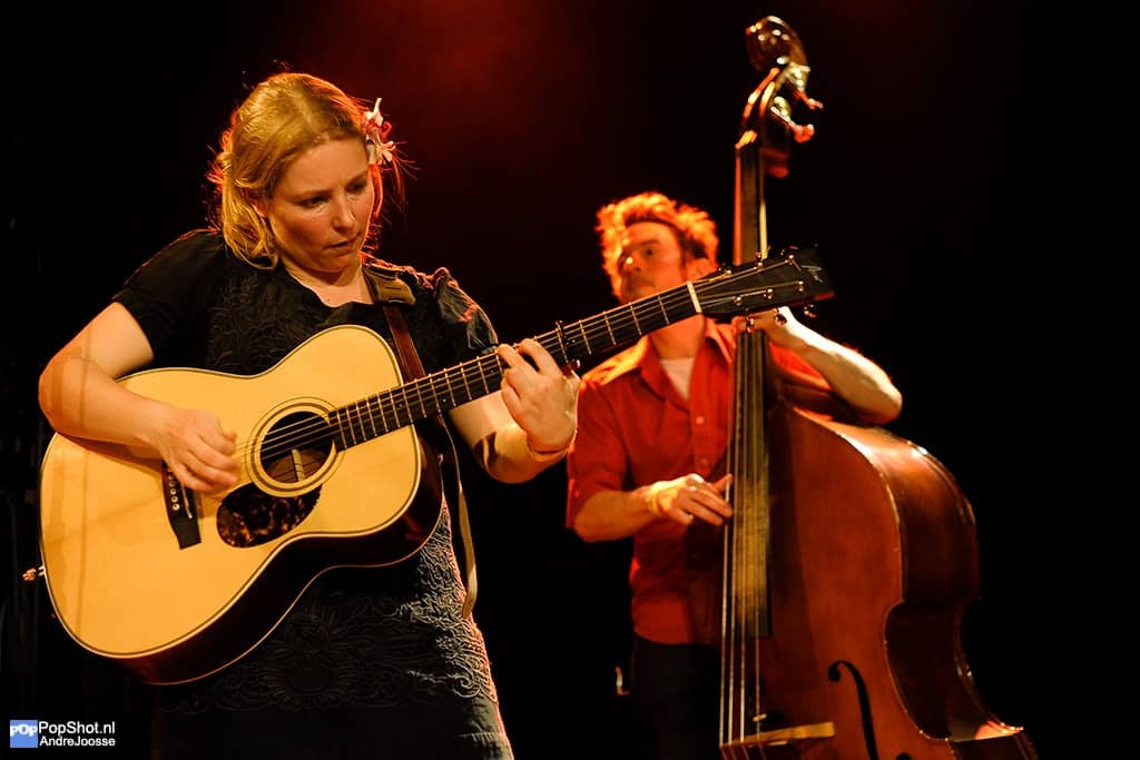 The Blackberry Bushes Stringband